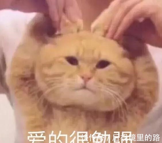 化妆品|深扒泰国爆款化妆品, 这些千万别买!深扒泰国爆款化妆品, 这些千万别买!