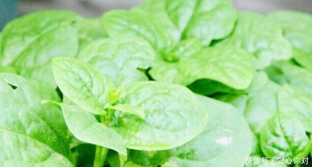 女性想要身体好,推荐3种食物,美容养颜,排毒护肤,肌肤更细腻