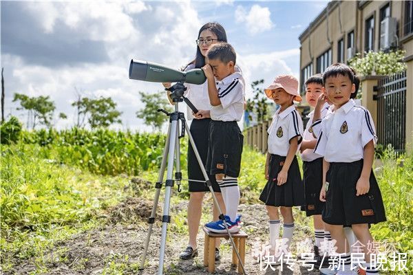 黑水鸡|白鹭池鹭黑水鸡不用搬家了！松江区小学生用一封信留住了教室外的天然湿地