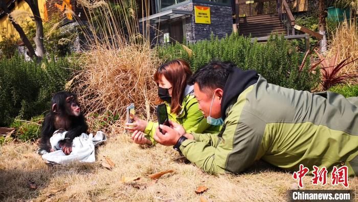 “就地过年”催生新增长点 春节假期南京文旅市场持续升温