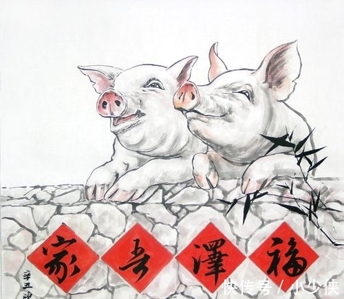 思维方式|生肖猪,2021年运势总结,2022年财运,事业运,感情运分析!