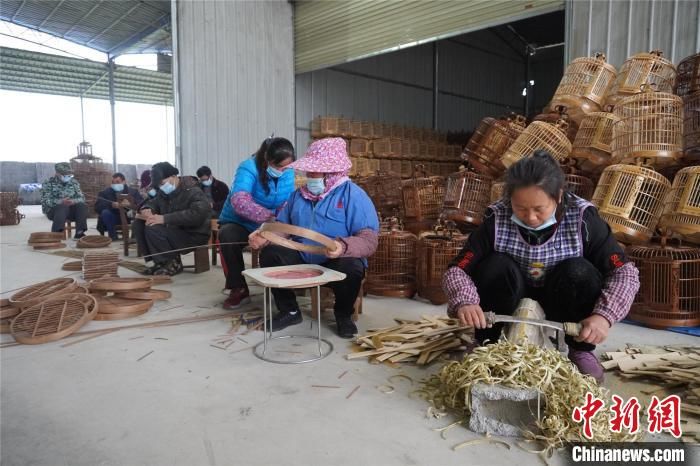 基地|广西小村庄用鸟笼“编织”起千万元大产业