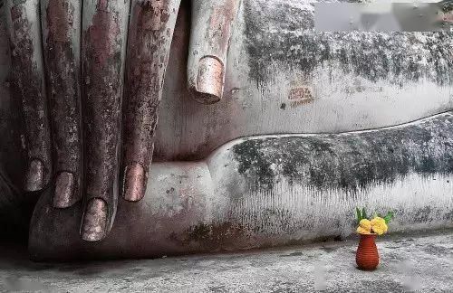 杨慎$千古奇文《韬晦术》,为人、经商、从政必读的枕边书