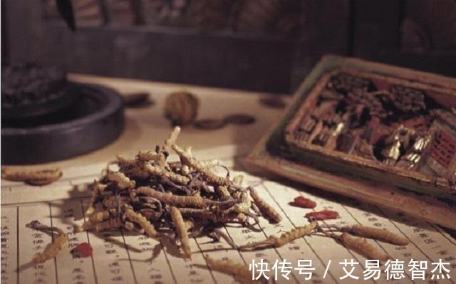 蝙蝠蛾|中药材之中有一味药,成长期漫长,价格曾高达8万元一斤