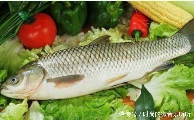 种鱼|公认最好吃的5种鱼,肉质细腻汤味鲜,全吃过的肯定是土豪!
