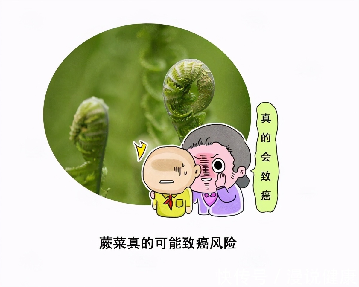 原蕨苷|吃一点都会致癌?“野菜之王”的蕨菜,是否吃了真的会得癌症?