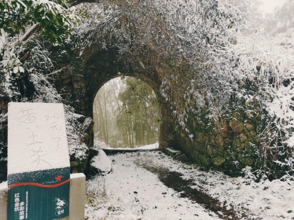 闽北雪景美图合集来啦～真正银装素裹，宛若琉璃世界！