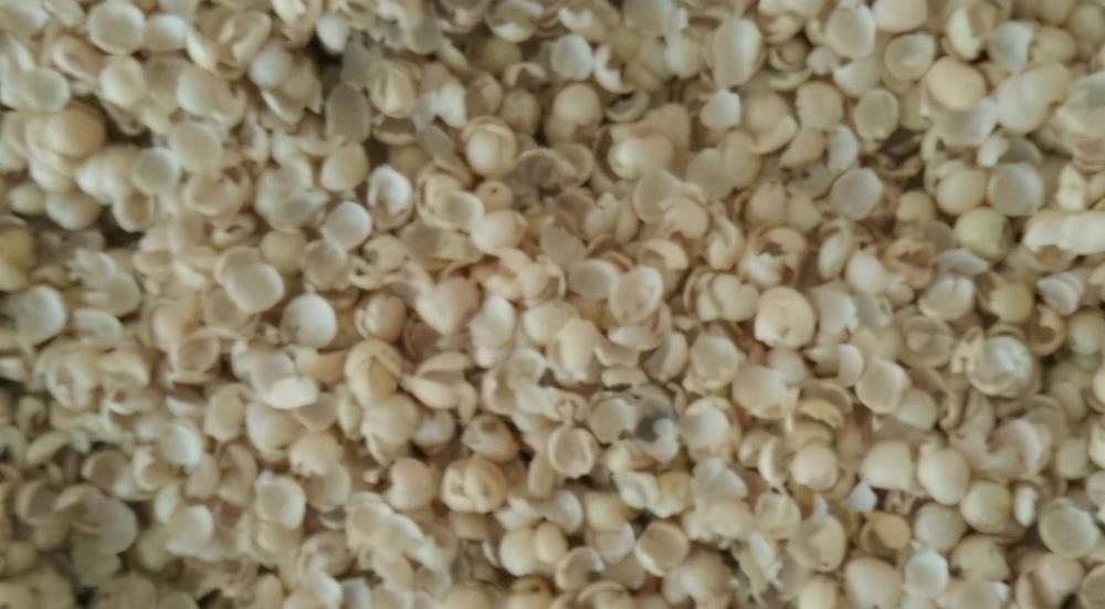 肥料|家里有这3种东西不要扔,你以为是垃圾,可它们是植物最好的肥料