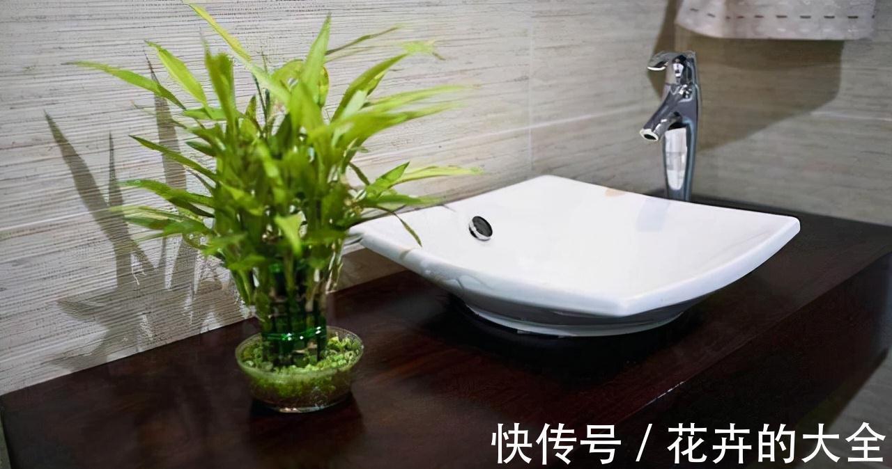 暗卫|新房暗卫怎么处理？记住这4个方法，暗卫也能变得又美又实用