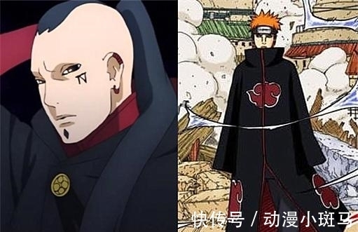川木|“晓组织”与“壳组织”气场对比,谁更胜一筹?