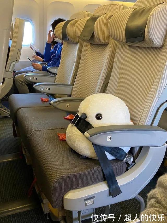 |拍迪士尼烟花翻车现场 冷段子2008