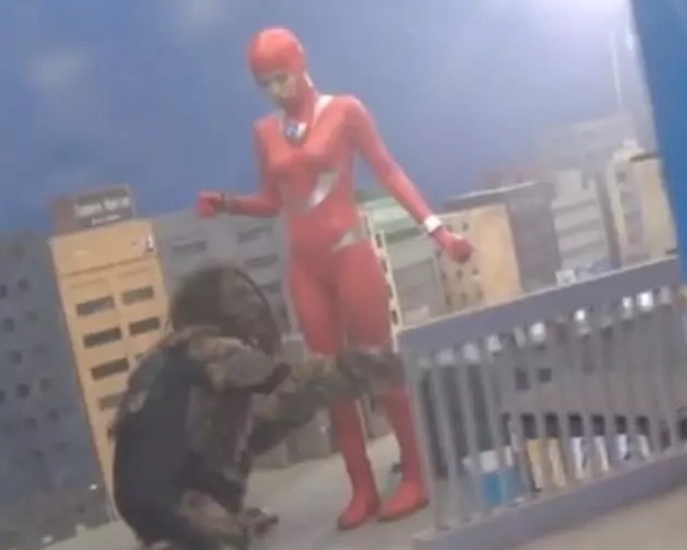 皮套|为什么女奥特曼那么少当她们把贴身皮套脱下后,观众明白了