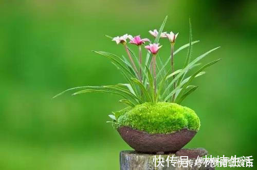 智商|出生在几点钟的孩子,智商高,长大后孝顺又有出息,光宗耀祖