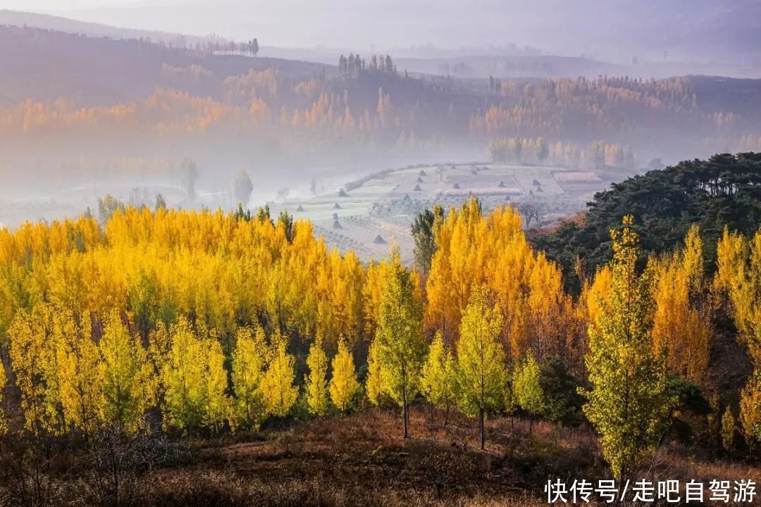 老年|这些公园，又仙又美，秒杀国内众多景点，很多人喜欢一去再去