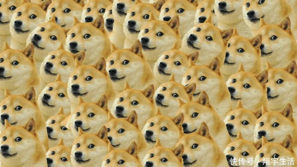 柴犬|腾讯申请狗头商标，网友吐槽，不会以后发个表情，都得冲会员吧