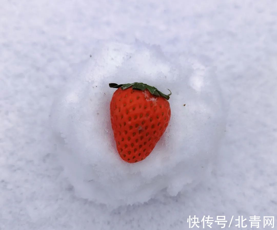 云海|太美了！台州最新雪景！括苍山跌至-10℃，再现云海奇观