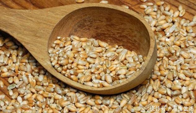 中年|一味不被人熟知的良药,李时珍却说它善于“补气除热、敛汗止汗”