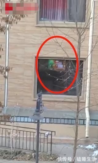 电视|3岁女儿趴窗台上1小时纹丝不动,爸爸走近后一看,被逗得哭笑不得