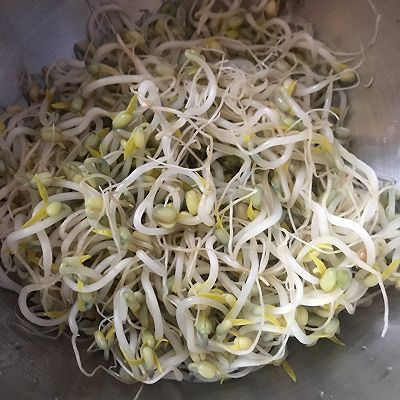 豆芽粉|绿豆芽成长记