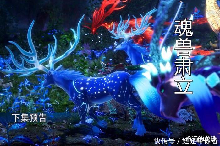 斗罗大陆111集三大看点：发生了什么？星斗森林魂兽全体肃立！