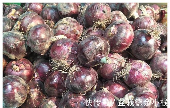 妙招|保存洋葱有妙招，学会1招，洋葱放1年不变坏，随时都新鲜
