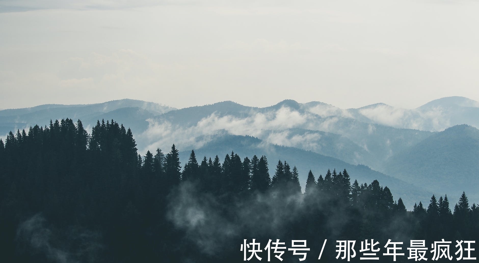 唐诗&这首题目遗失的冷门唐诗,意境清幽,让人心向往之