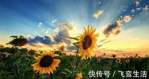 復發|肺癌病人康復期間，哪些跡象提示腫瘤有可能復發轉移呢？