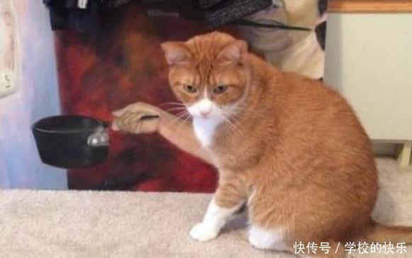 身体|“可以用身体的一个部位换一个亿,你会用哪个部位”能用的太多了吧,哈哈哈哈