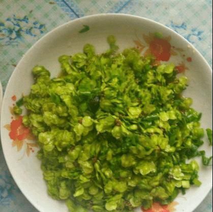 准确|中国农村最好吃的野菜,全吃过的人不多,你能准确叫出名字吗