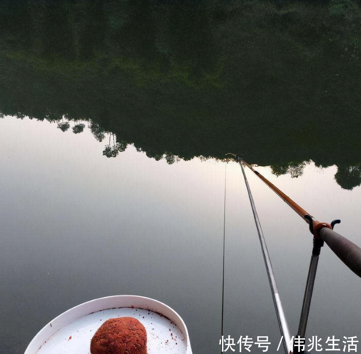 钓友|野河钓鱼不知道怎么调漂,这种方法一学就会,适合钓多种鱼