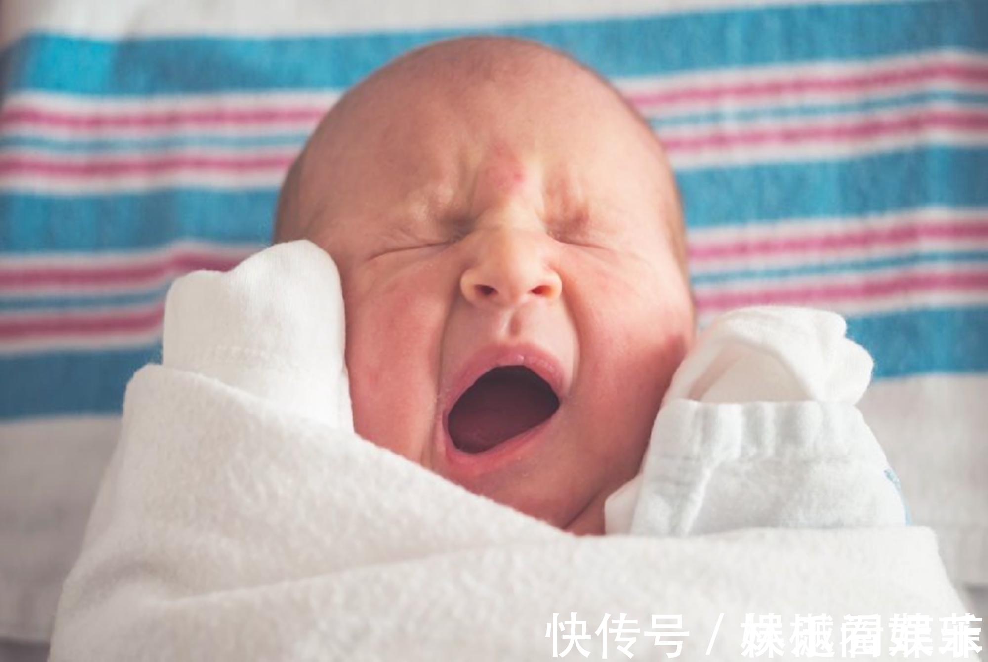 遗传基因|命中“有福”的孩子,能在面相上体现出来,几乎没有哪个娃能全占