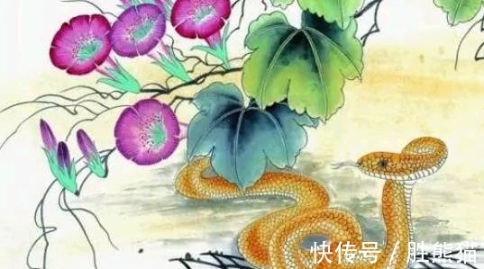 头顶|未来15天，三大生肖福星照命，聚财聚福，吉祥如意，头顶聚宝盆