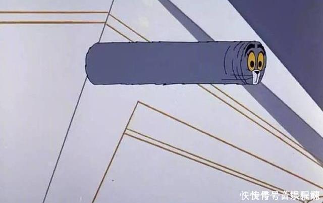 小时候看猫和老鼠以为是搞笑的,长大了才知道这些都是真的