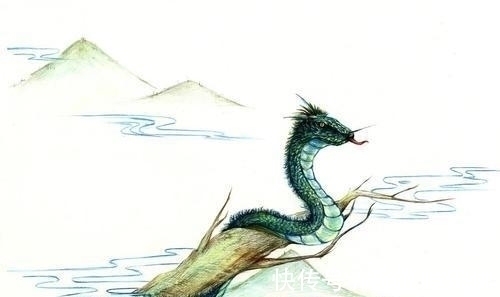 蝮虫&山海经:有多少神奇的虫子,能吃吗?为何人也算也是虫子的一种?