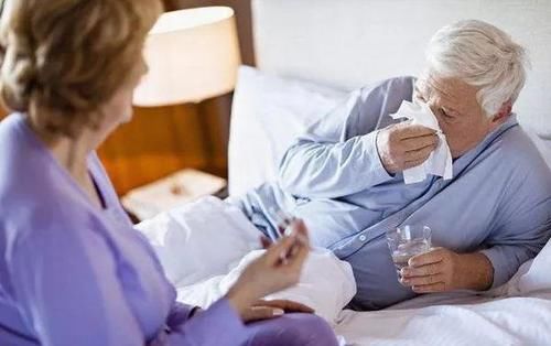 身体不适|鱼腥草是“天然抗生素”？4个好处被认可，但3类人要远离