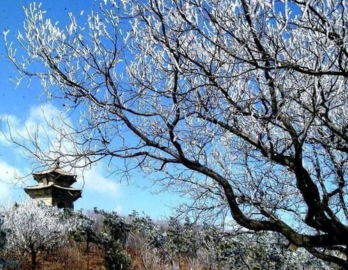 中年|位于连云港的这座山，是西游记花果山的原型，你来过吗