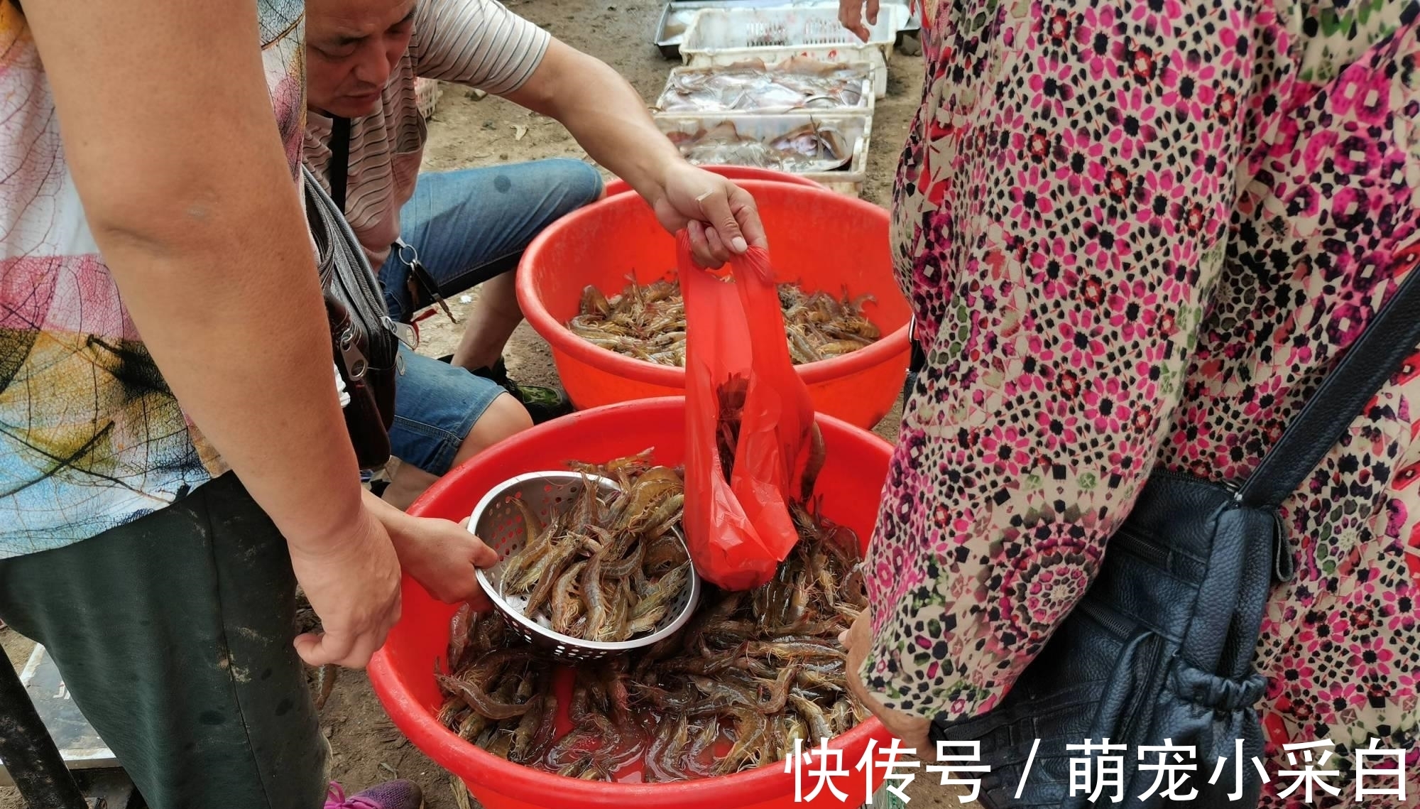 保鲜|大虾保鲜有诀窍：冷冻一年，解冻仍然是鲜活模样，百试百灵