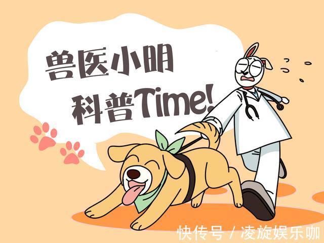 奶狗|小狗在院子里不停吠叫,以为是被邻居揍了,查看后:这都干不过?