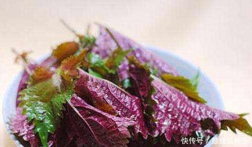 乡下田间地头常见的“紫苏”,8大功效,教你全部吃出来!