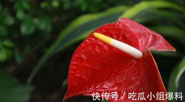 新欢旧爱|八月初念念不忘、桃花爆棚的星座，新欢旧爱，失而复得