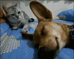 |搞笑GIF:这才是真坑!人没事吧!