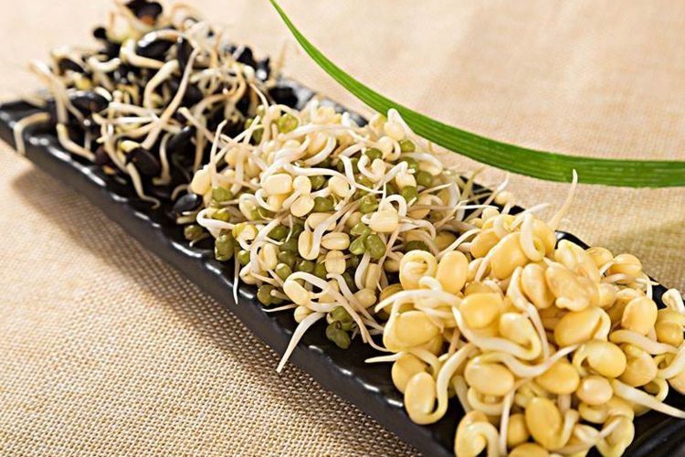 炒豆芽，先焯水还是直接炒？第一步就错，难怪不脆不入味，还腥！