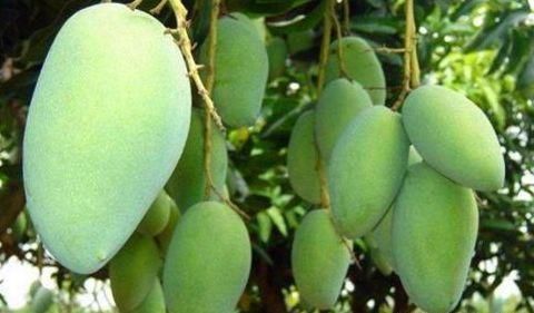 缓解|立秋后不想上火，多吃三食物，缓解便秘，排毒消脂，促进睡眠质量