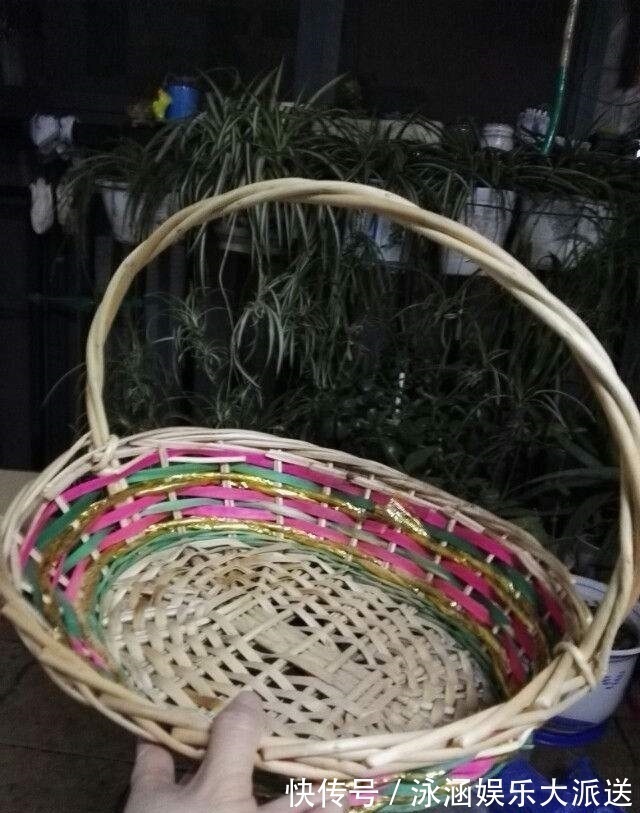 竹篮子|她在医院垃圾桶“捡篮子”,拿来种多肉“颜值高”,人见人爱
