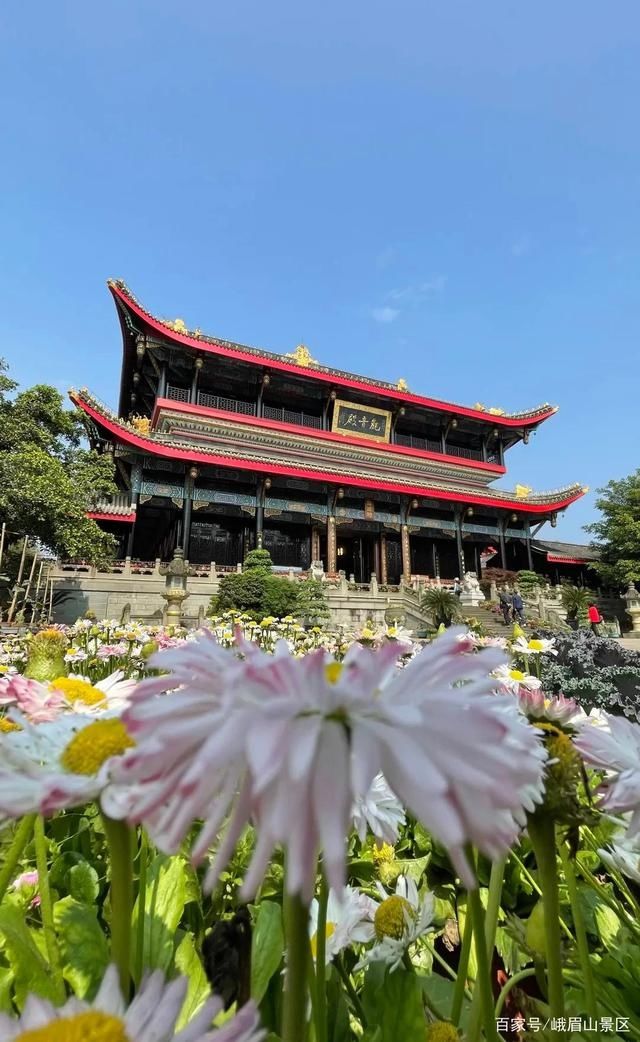 大佛禅院，峨眉山一处让人欢喜的地方