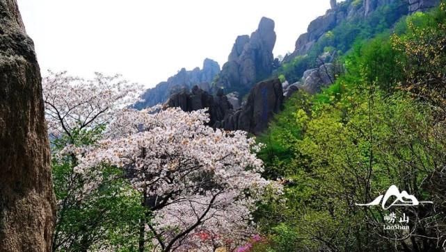 与崂山刻骨铭心的对话：在崂山，每一粒尘埃都色彩斑斓！