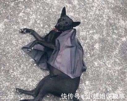 |搞笑神评论：这家早餐店的味道真的好，每天都要来吃三大碗