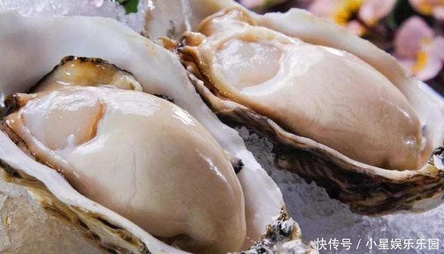 做法|生蚝5种最好吃的做法,简单美味吃着超过瘾,看看你喜欢吃不