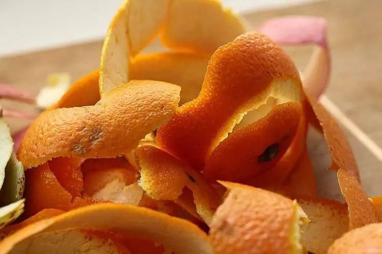 养花人|花盆里插1根筷子,解决了养花人的大难题,快试试看!