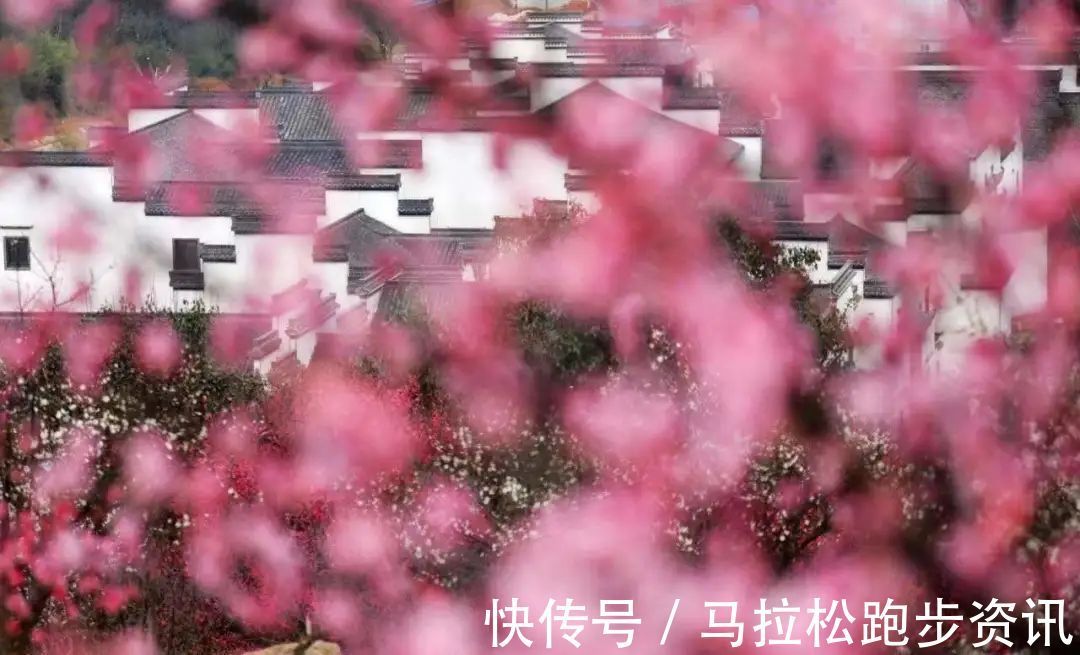 半程马拉松|倒计时2天!2022年首场金牌马拉松新闻发布会及报名即将开启!